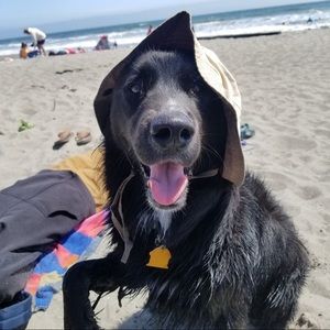 Meet your Posher, Courtney